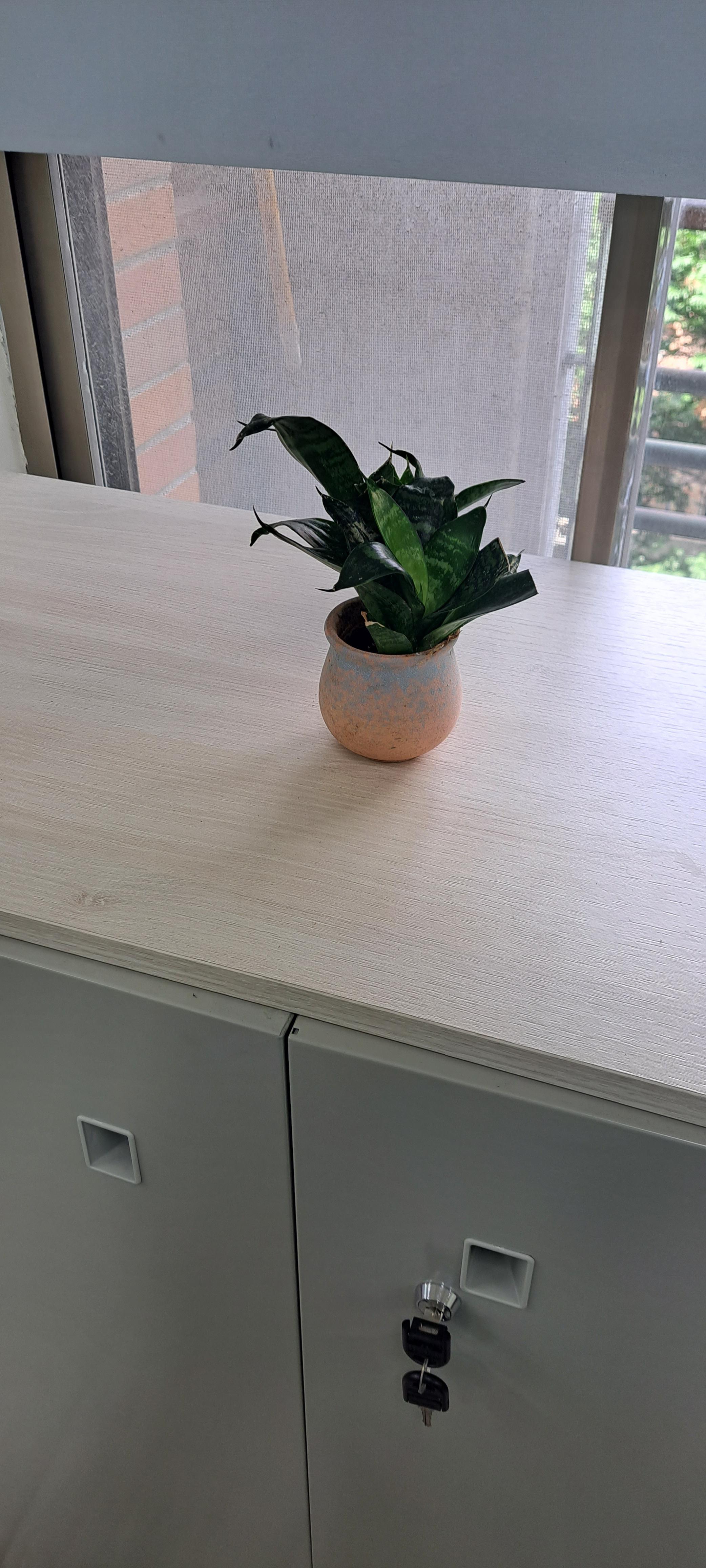 .....微電腦實習工場一隅_美化環境2