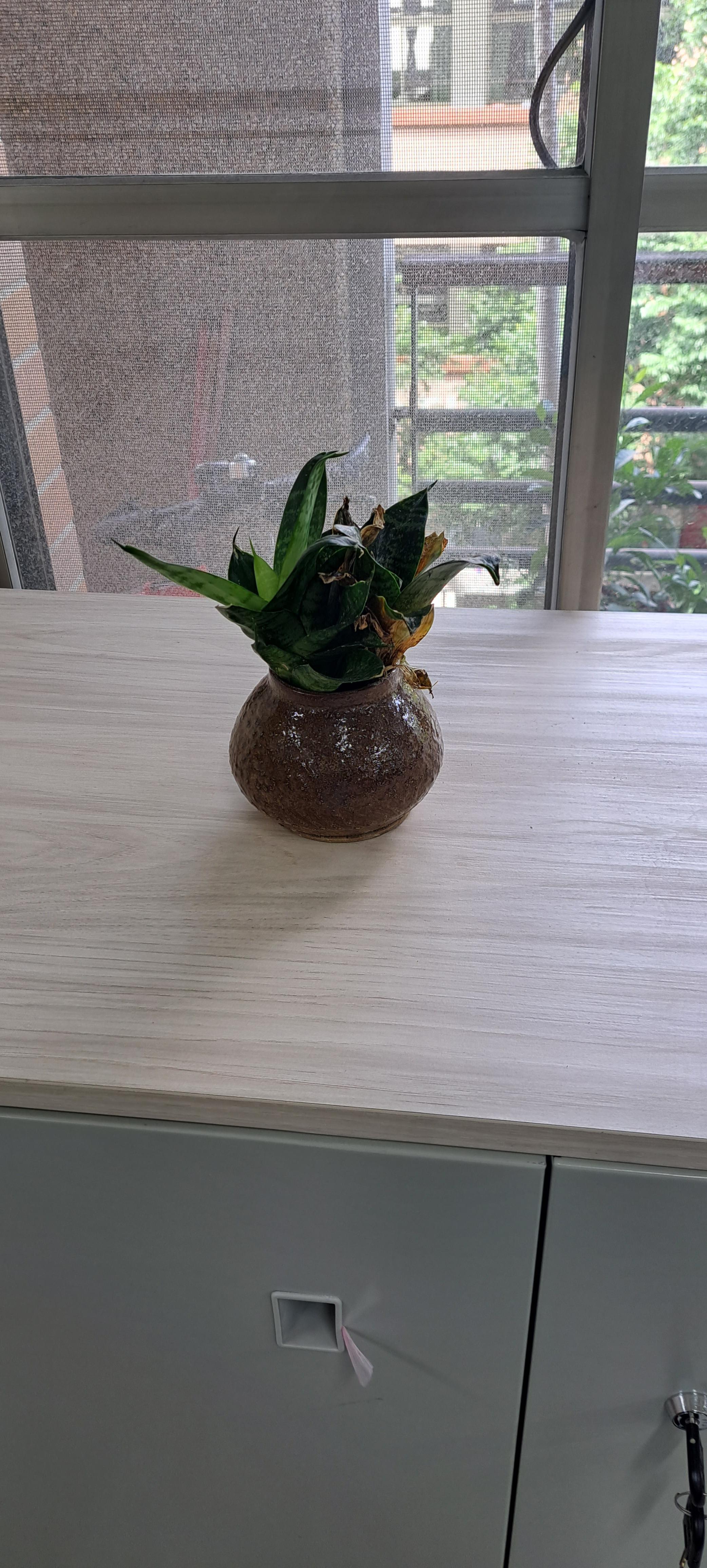 ...微電腦實習工場一隅_美化環境1